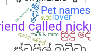 Bijnaam - Sinhala