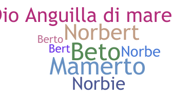 Bijnaam - Norberto