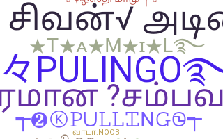 Bijnaam - Pulingo