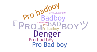 Bijnaam - ProBadboy