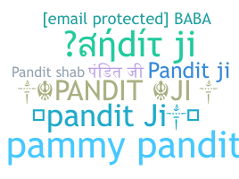 Bijnaam - Panditji