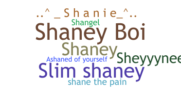 Bijnaam - Shane