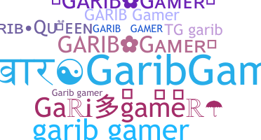 Bijnaam - Garibgamer