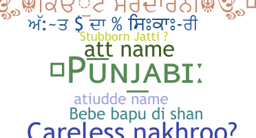 Bijnaam - Punjabi