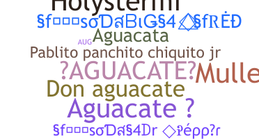 Bijnaam - Aguacate