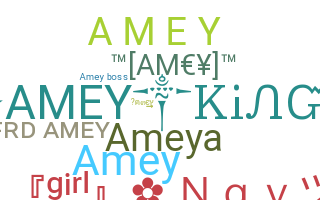 Bijnaam - AmeY