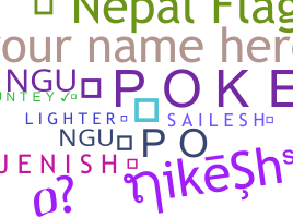 Bijnaam - Nepalflag