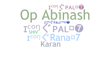 Bijnaam - IconPAL07