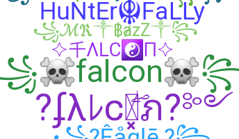 Bijnaam - Falcon