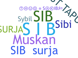 Bijnaam - SiB