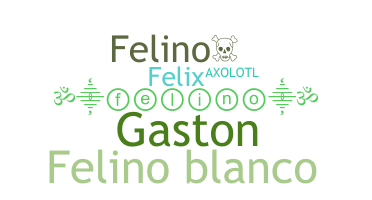 Bijnaam - Felino