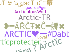 Bijnaam - Arctic