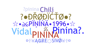 Bijnaam - Pinina