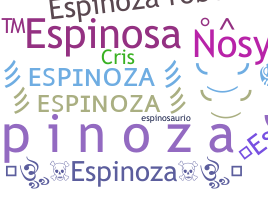 Bijnaam - Espinoza