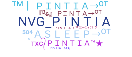 Bijnaam - Pintia