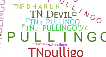 Bijnaam - TNpullingo