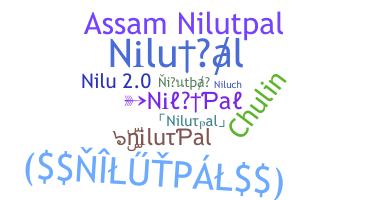 Bijnaam - nilutpal