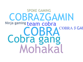 Bijnaam - CobraGang