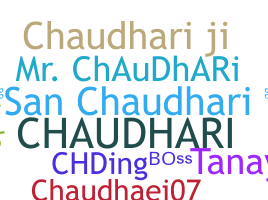 Bijnaam - Chaudhari