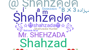 Bijnaam - Shahzada