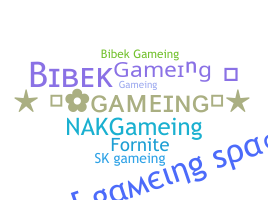 Bijnaam - GAMEING