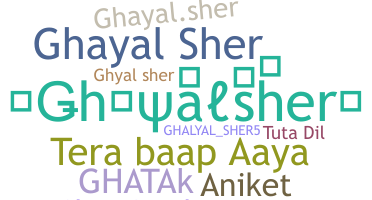 Bijnaam - Ghayalsher