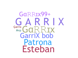 Bijnaam - Garrix