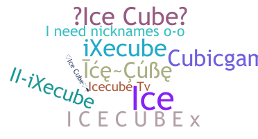 Bijnaam - icecube