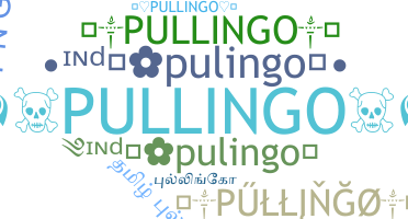 Bijnaam - Pullingo