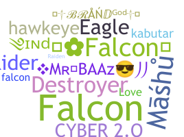 Bijnaam - Falcons